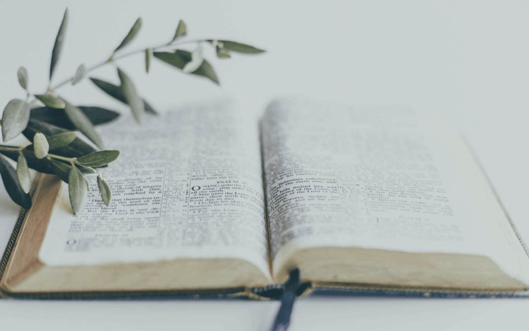 3 Things to Know Before You Dive into the Word