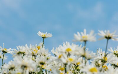 3 Ways to Find Joy This Week