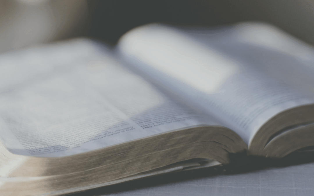 4 Ways to Grow Your Bible Knowledge without Feeling Overwhelmed