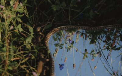 Loud Ideas, Quiet Truth: Aesthetics