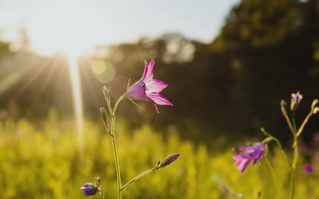 Loud Ideas, Quiet Truth: Attitude