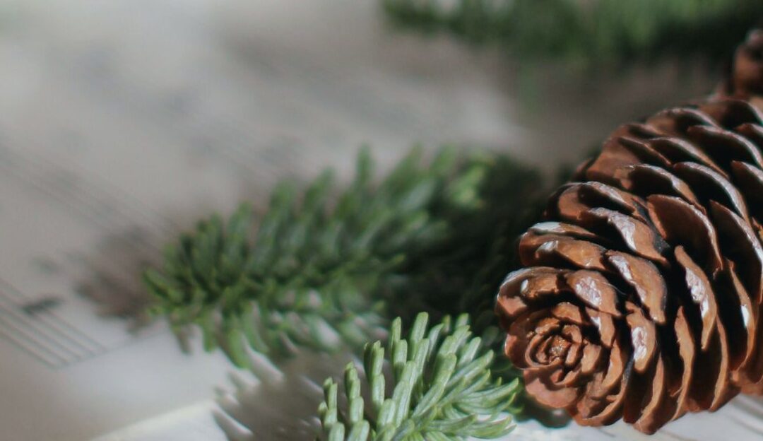 An Advent Study: Hymns to Celebrate & Worship Our Savior