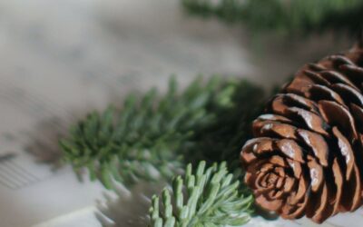 An Advent Study: Hymns to Celebrate & Worship Our Savior
