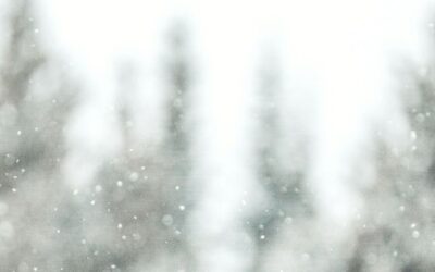 An Advent Study: Hymns to Celebrate & Worship Our Savior Week 3
