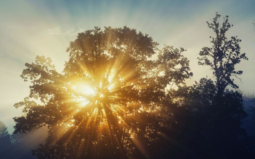 4 Words That Pull the Bible Together: Part 1