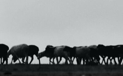 4 Words That Pull the Bible Together: Part 4